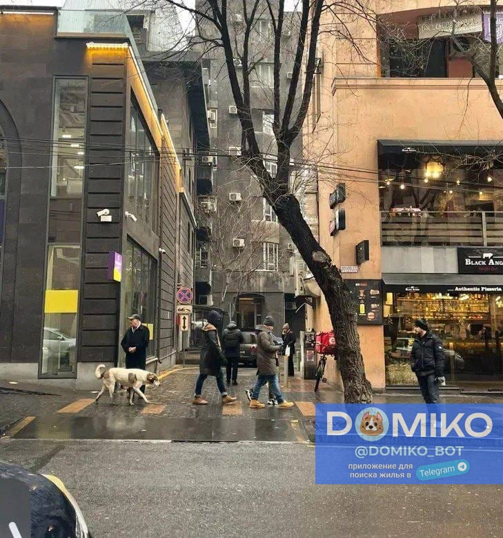 Фото объявления
