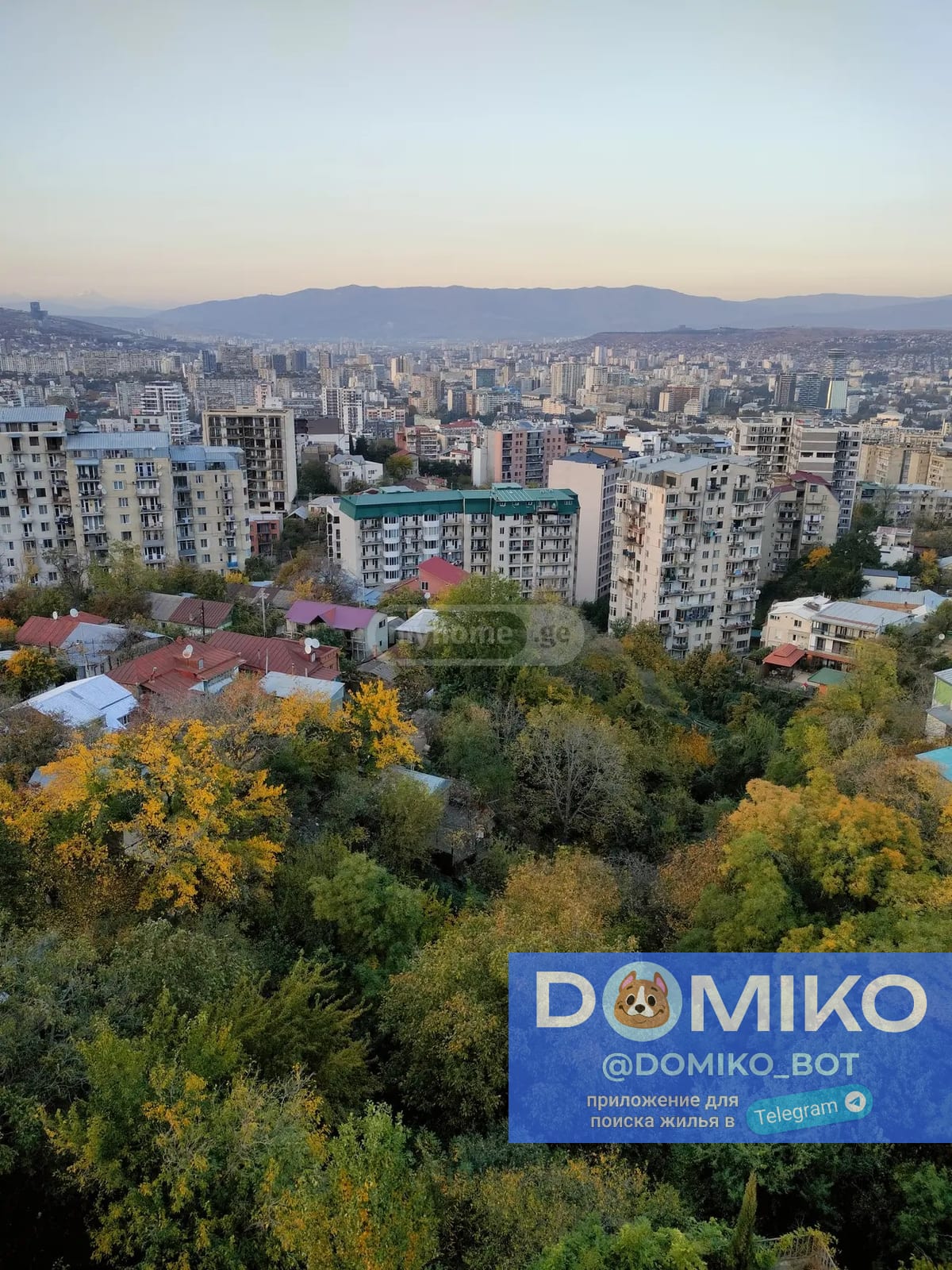 Фото объявления