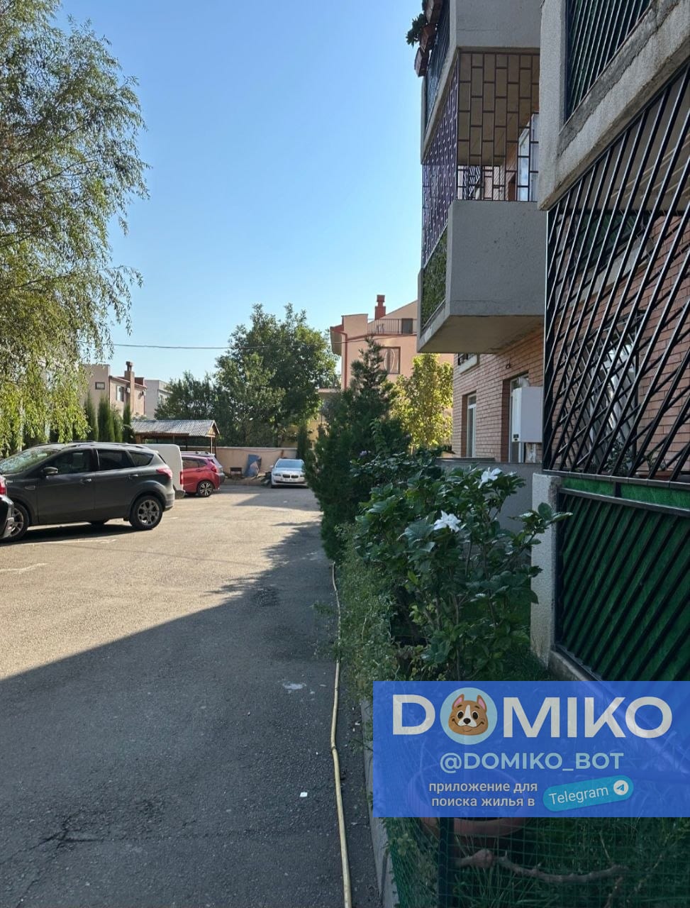 Фото объявления