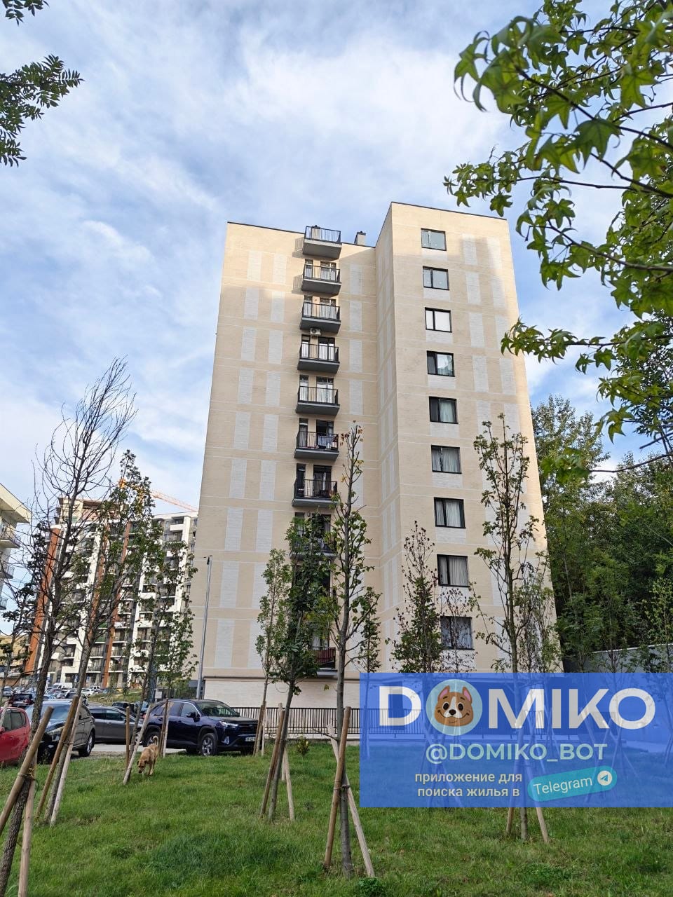 Фото объявления