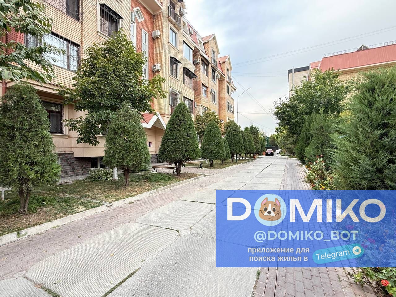 Фото объявления