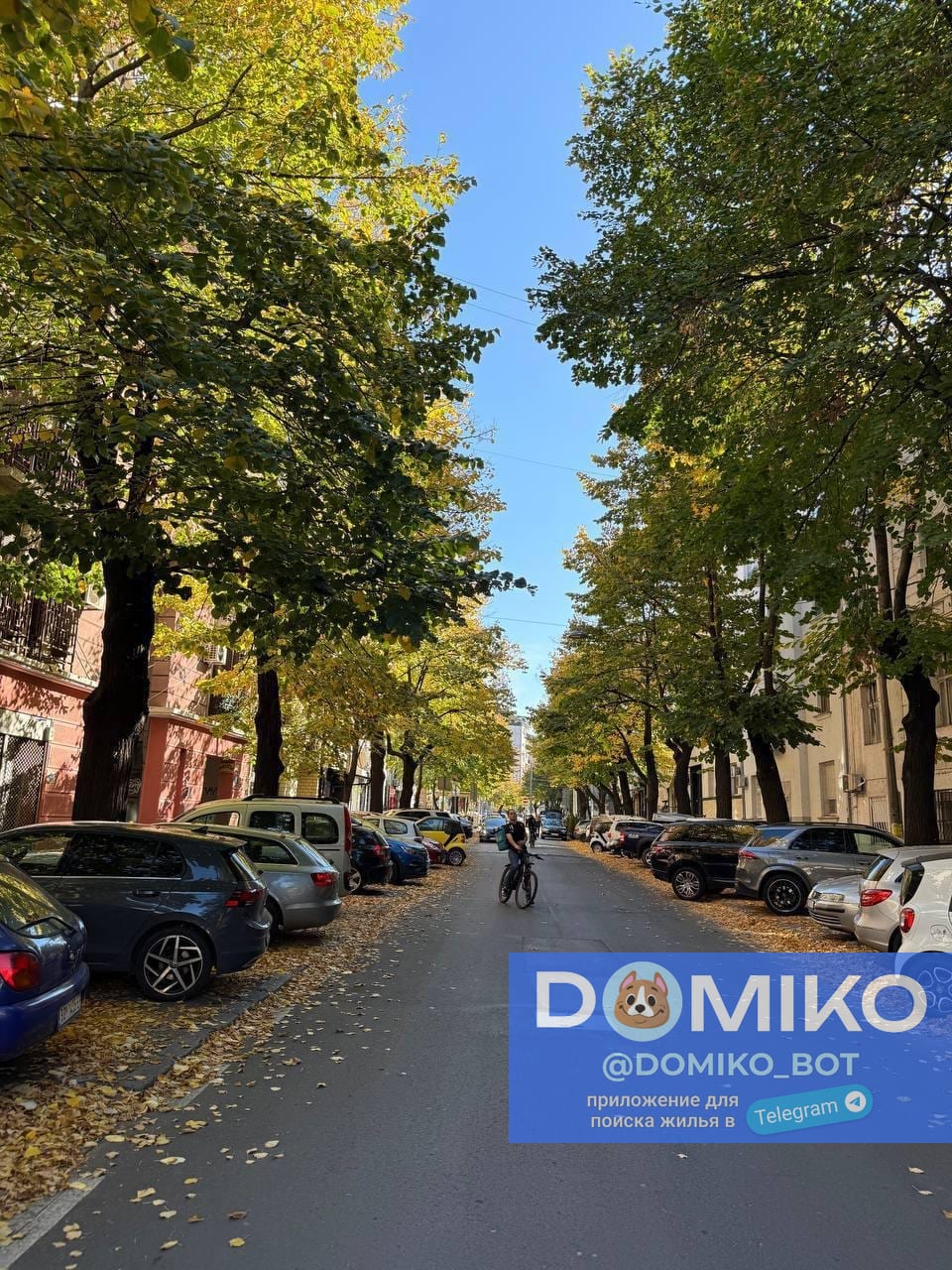 Фото объявления